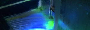 Le colorant traceur fluorescéine pour rechercher une fuite d'eau